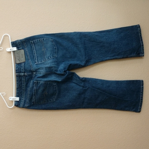 Silver Capris Size 30 - Picture 6 of 11